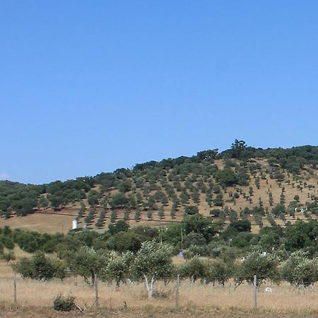 Girassol Alojamento Local Montemor-o-Novo Bagian luar foto